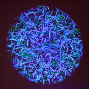 prisme et le gobo multicolore associé prisme et le gobo multicolore associé