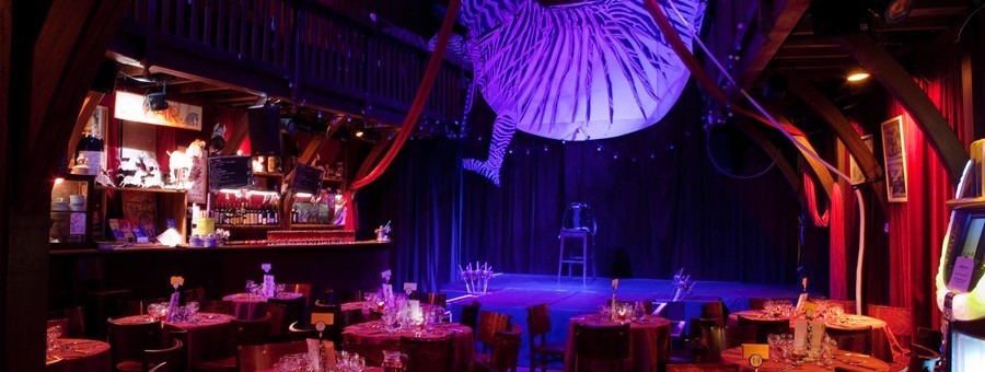 Cabaret Cirque Le Zebre