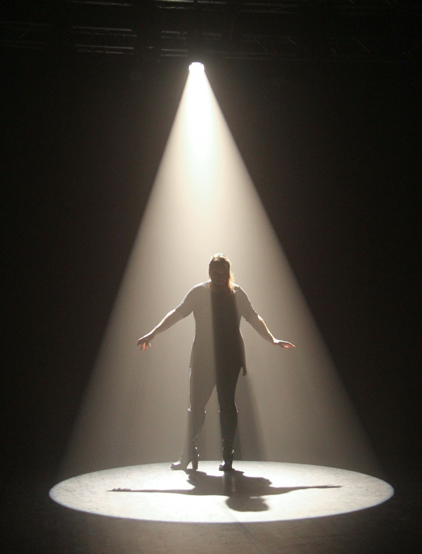 Chauvet Ovation E 260 WW