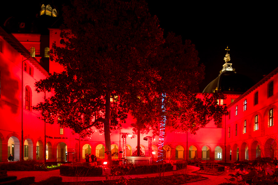 Chauvet-fetedeslumieres-Eurosono